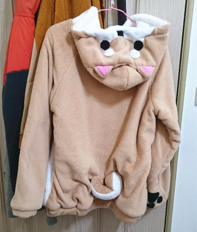 Shiba Inu Plush Hoodies