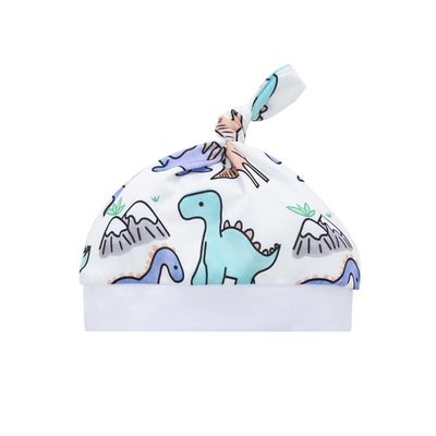 Dinosaur Kids 4pcs Clothes Set