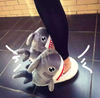 Hungry Shark Slippers